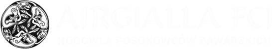 Airgialla FCI
